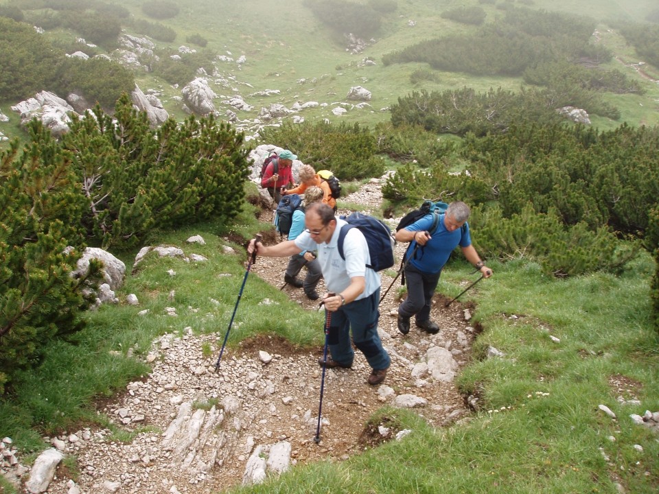 20090625 Peca po zelo zahtevni, Pikovo, Narav - foto povečava