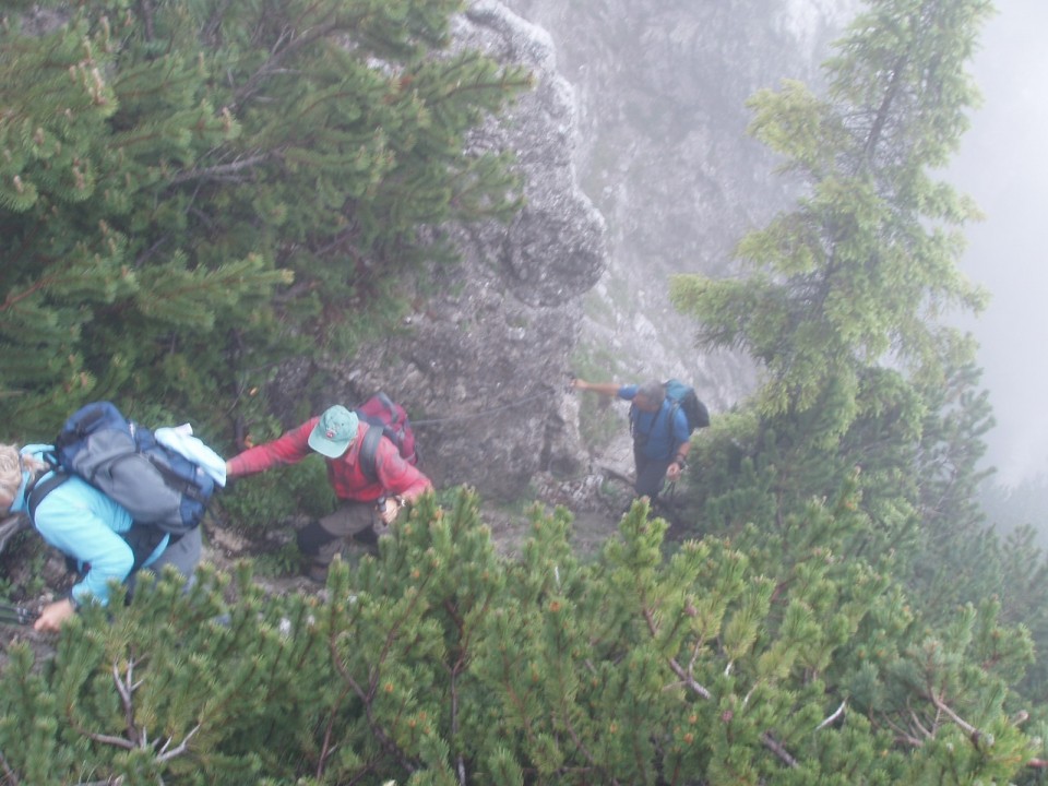 20090625 Peca po zelo zahtevni, Pikovo, Narav - foto povečava