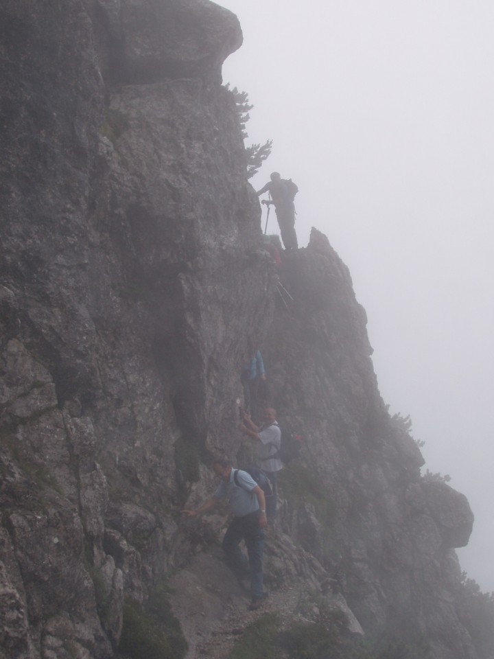 20090625 Peca po zelo zahtevni, Pikovo, Narav - foto povečava