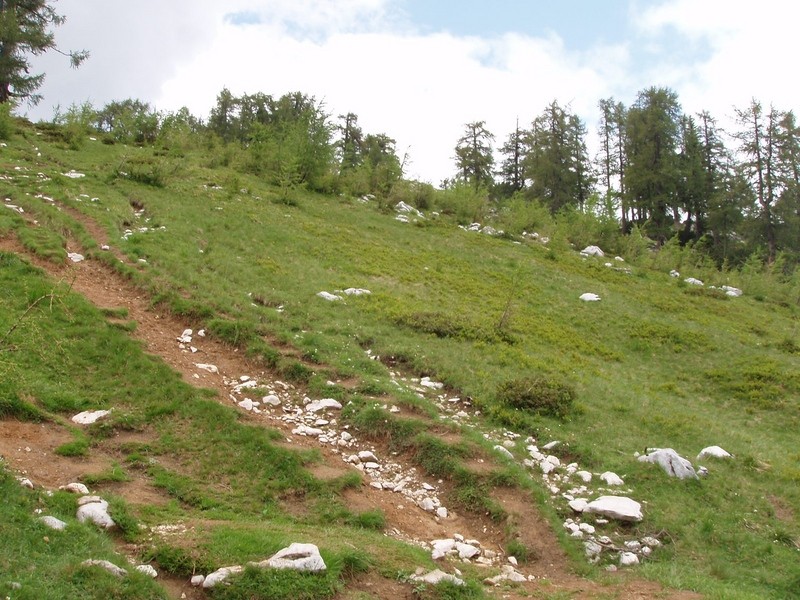 20090704 Vršič Sleme Tamar vmes M.Mojstrovka  - foto povečava