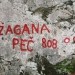 20090711 Kamn.Bistr. Cojzova Mlinarsko s. Gri