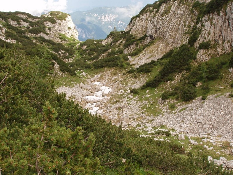 20090711 Kamn.Bistr. Cojzova Mlinarsko s. Gri - foto povečava