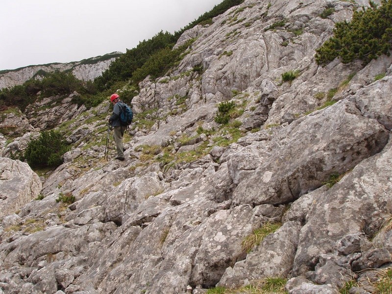 20090711 Kamn.Bistr. Cojzova Mlinarsko s. Gri - foto povečava