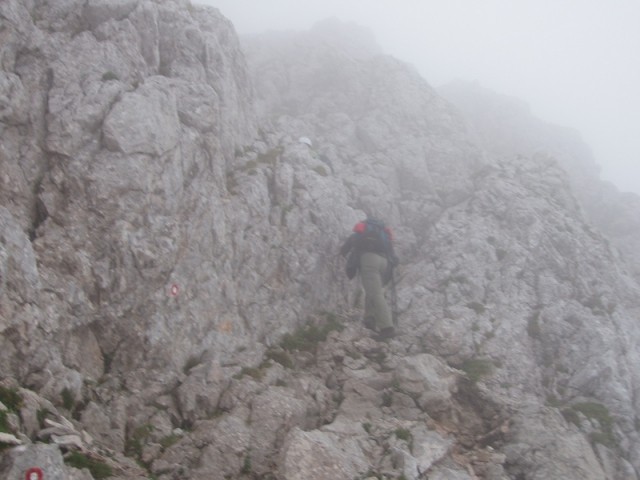 20090711 Kamn.Bistr. Cojzova Mlinarsko s. Gri - foto