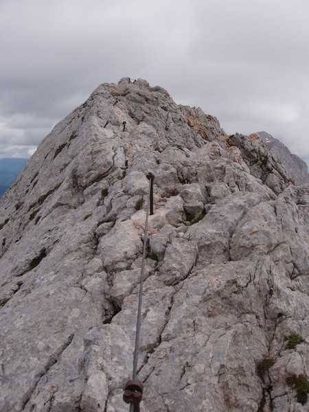 20090711 Kamn.Bistr. Cojzova Mlinarsko s. Gri - foto povečava