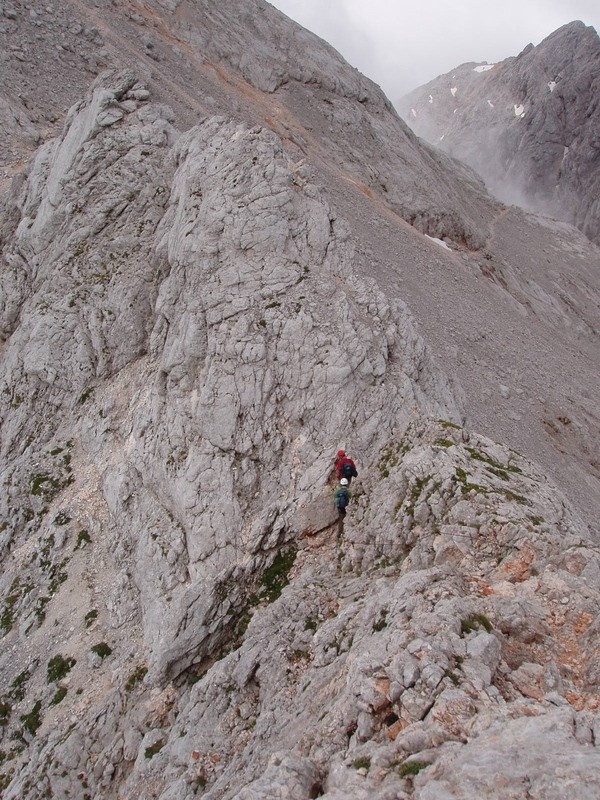 20090711 Kamn.Bistr. Cojzova Mlinarsko s. Gri - foto povečava