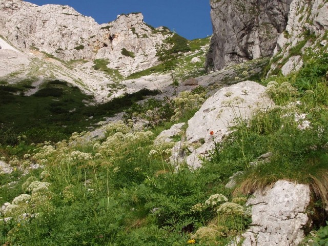 010 Že se vidi vetrnica in stebri od žičnice.