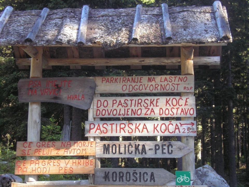 20090712 Podvežak Molička Korošica brezpotje  - foto povečava