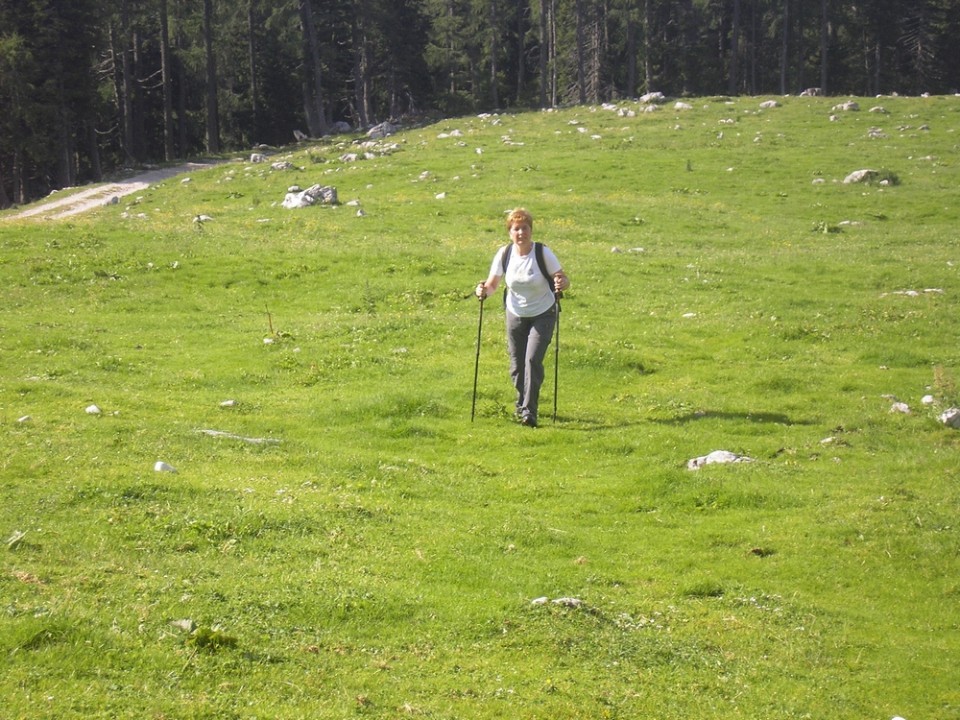 20090712 Podvežak Molička Korošica brezpotje  - foto povečava