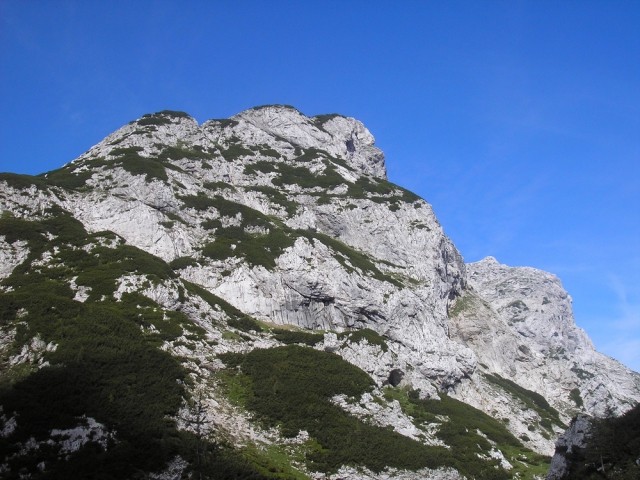 20090712 Podvežak Molička Korošica brezpotje  - foto