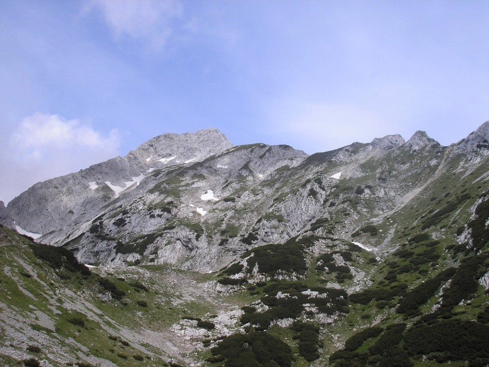 20090712 Podvežak Molička Korošica brezpotje  - foto povečava