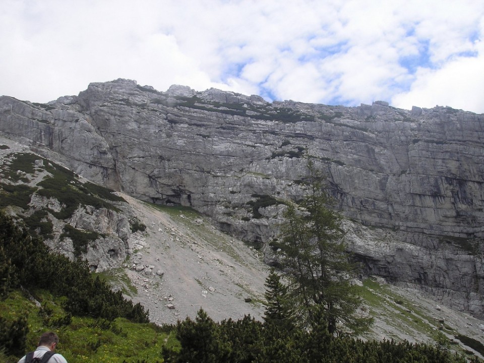 20090712 Podvežak Molička Korošica brezpotje  - foto povečava