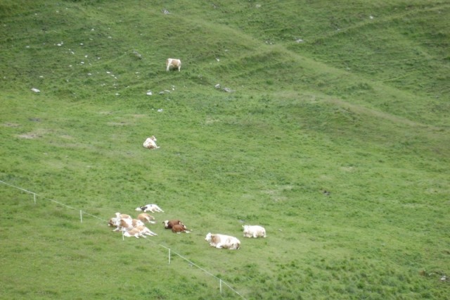 20090718 Grossglockner z Lotmeržani in Ormoža - foto