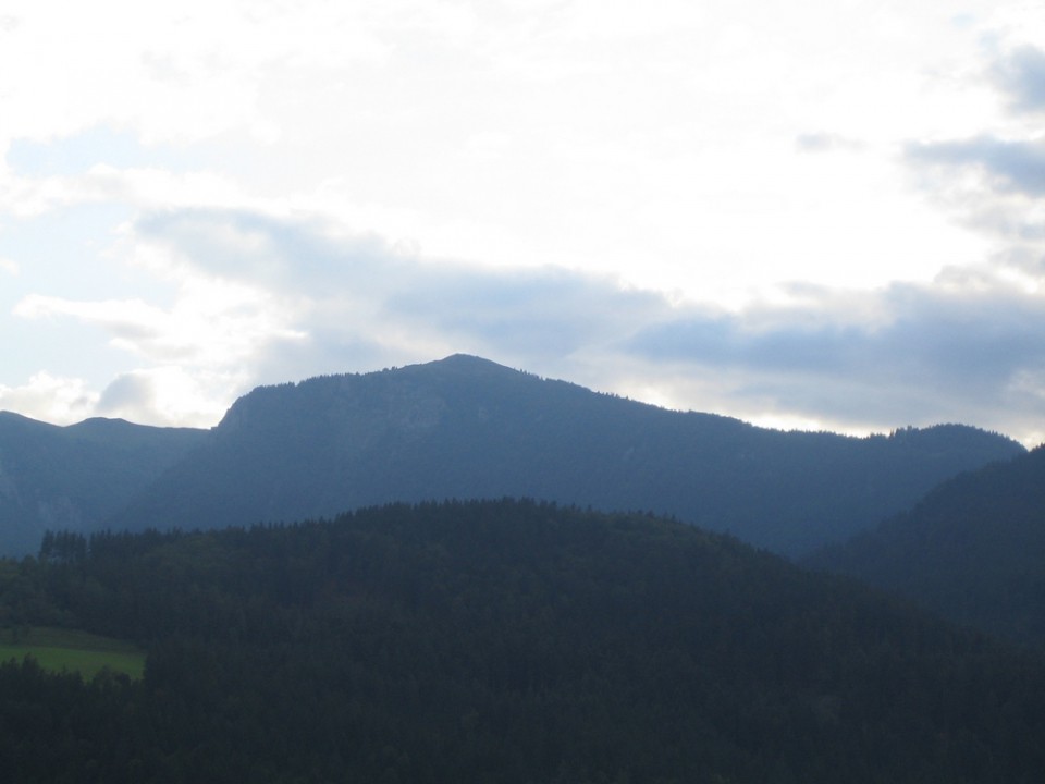 20090711 Vodiška planina, Ratitovec - foto povečava