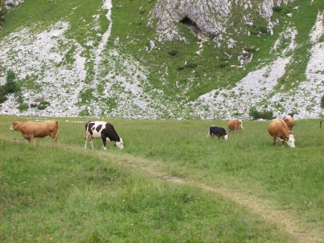 20090811 Triglav - pododbor Beltinci - foto