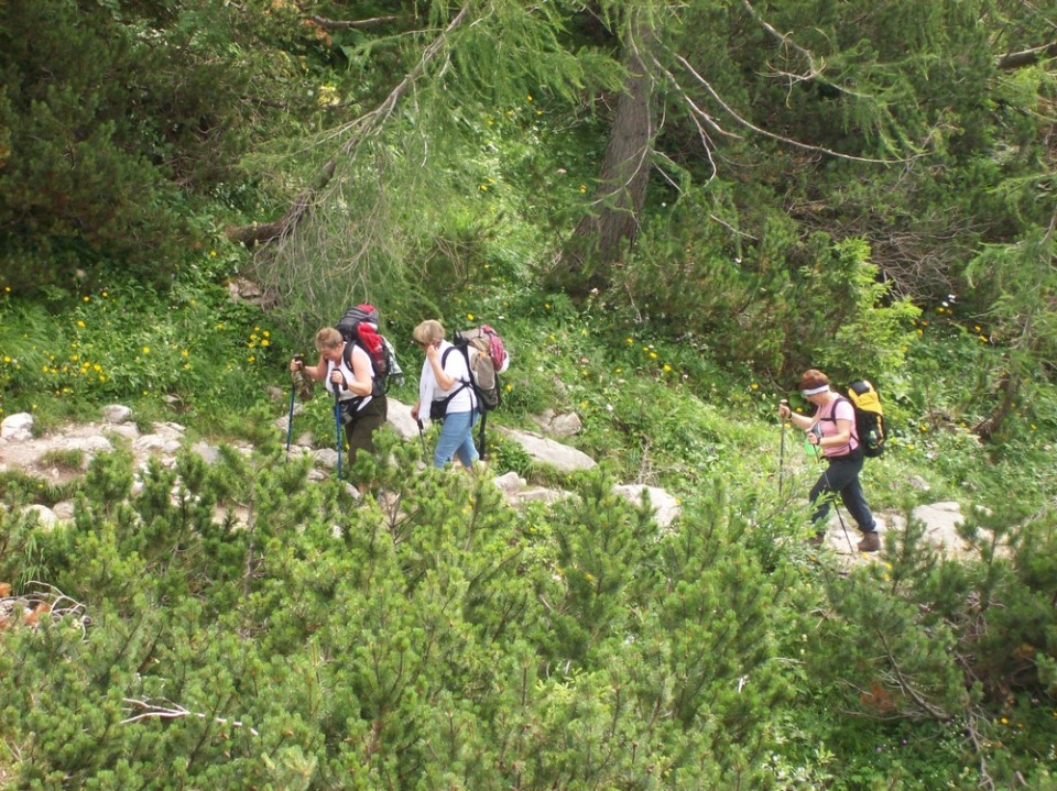 20090811 Triglav - pododbor Beltinci - foto povečava