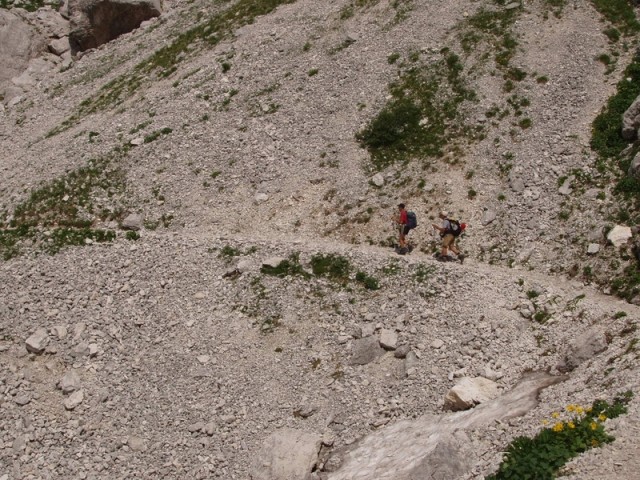 20090818 Voje Uskovnica Vodnik Planika Kredar - foto