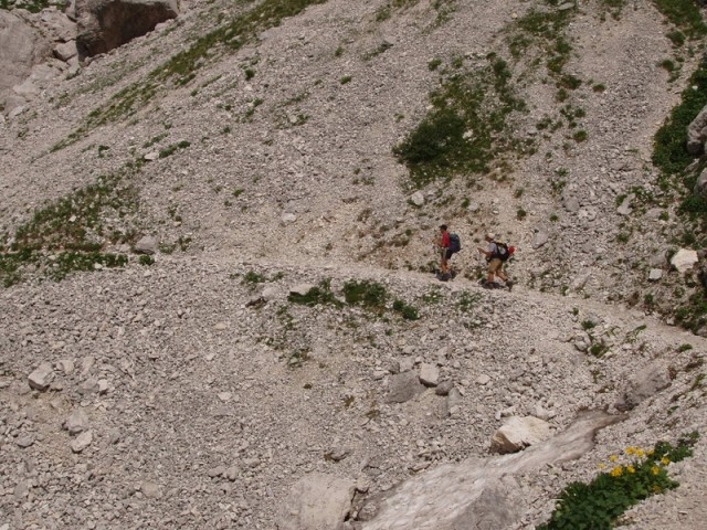 20090818 Voje Uskovnica Vodnik Planika Kredar - foto