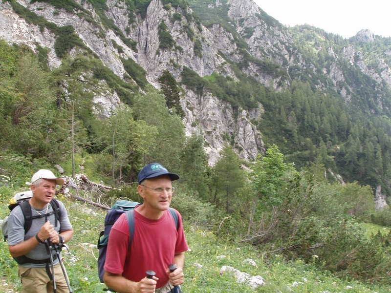 20090818 Voje Uskovnica Vodnik Planika Kredar - foto povečava