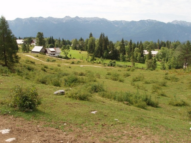 20090818 Voje Uskovnica Vodnik Planika Kredar - foto