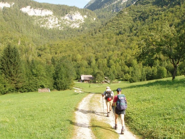 20090818 Voje Uskovnica Vodnik Planika Kredar - foto