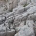 Kake razpoke nastanejo v skalah zaradi suše.
