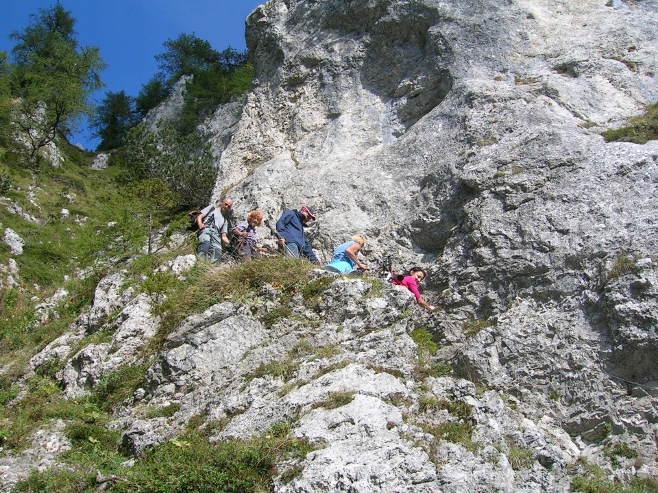 20090926 Olševa iz Avstrije - foto povečava