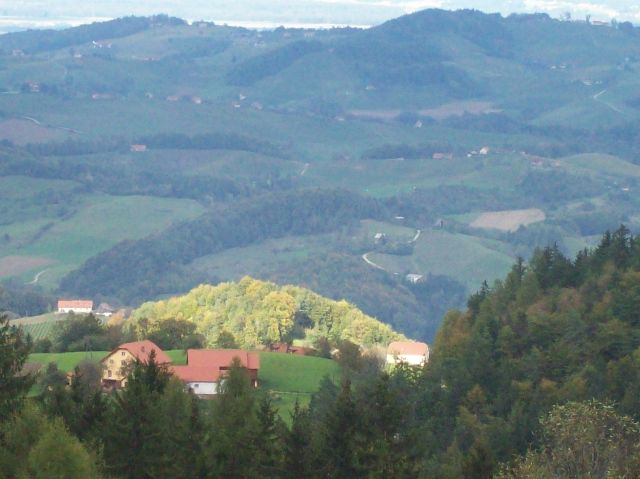 20091011 Žavcarjev vrh - nabiranje kostanjev - foto povečava