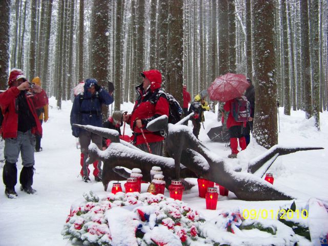 20100109 Osankarica - foto
