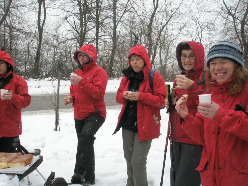 20100129 Mentorji plan.skupin-Slamnjak - foto povečava