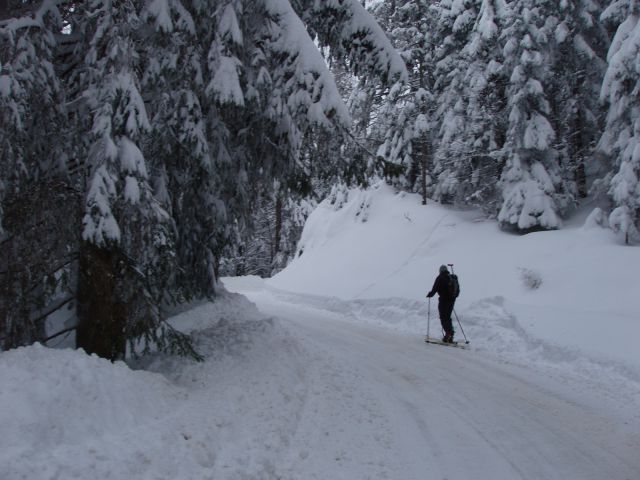 20100213 Turno potepanje po Vel.Planini - foto