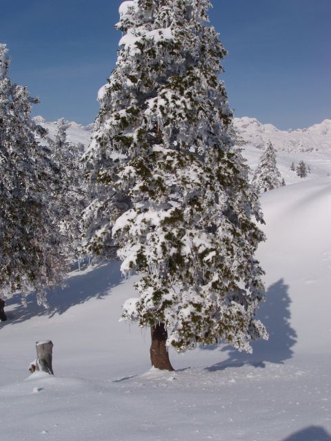 20100213 Turno potepanje po Vel.Planini - foto