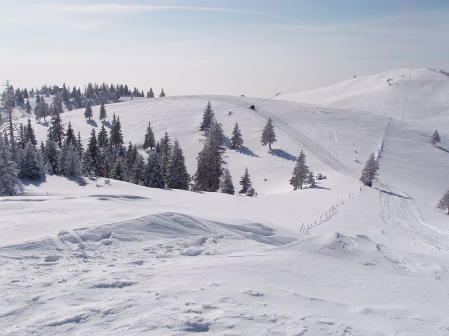 20100213 Turno potepanje po Vel.Planini - foto