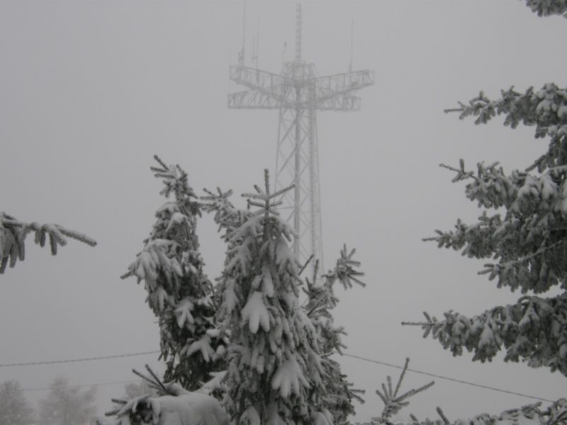 20100208 Resevna,Svetina,Tolsti v., - foto povečava