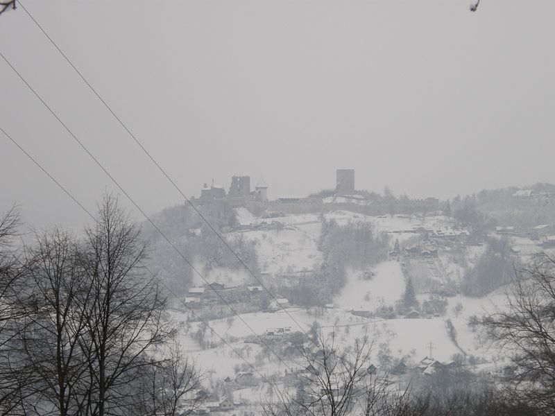 20100208 Resevna,Svetina,Tolsti v., - foto povečava