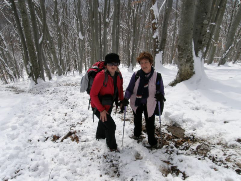 20100307 Slivnica, mala gora, lavričeva koča - foto povečava