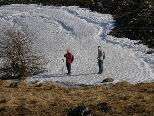 20100328 vremščica socerb trstelj sinji.. - foto