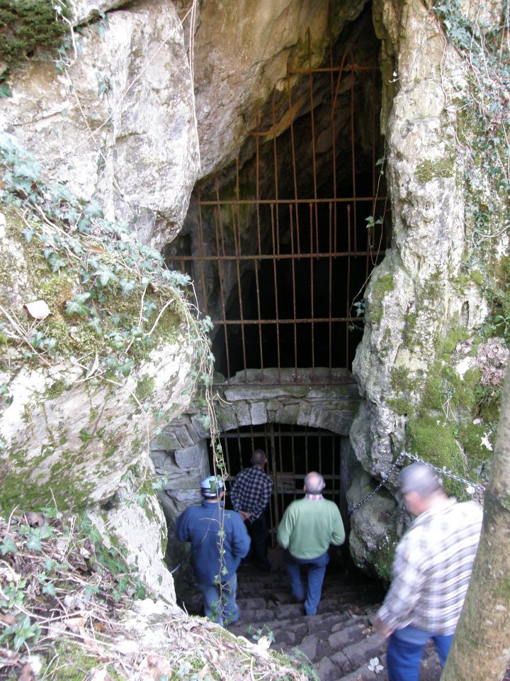 20100328 vremščica socerb trstelj sinji.. - foto povečava