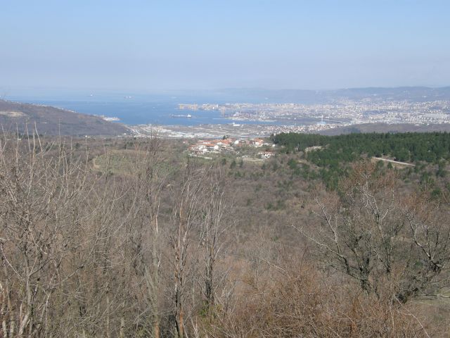 20100328 vremščica socerb trstelj sinji.. - foto