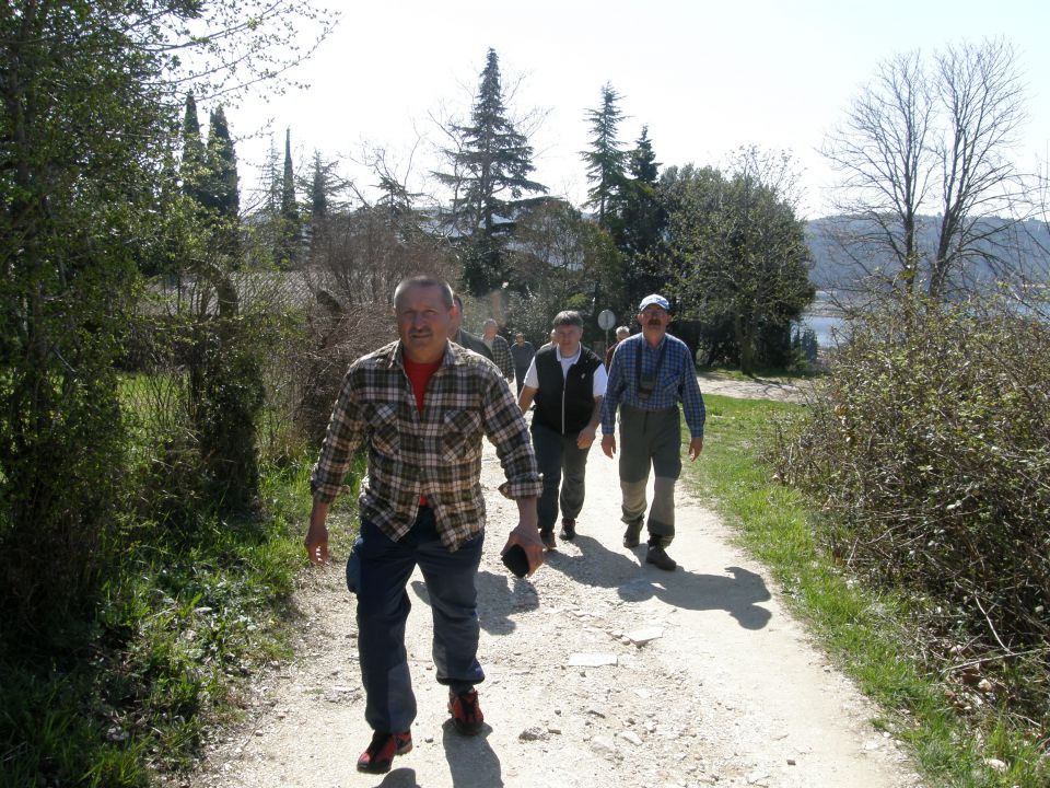 20100328 vremščica socerb trstelj sinji.. - foto povečava