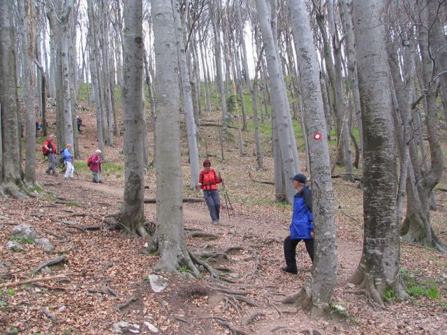 20100427 Boč in Donačka gora - foto