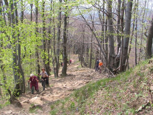 20100427 Boč in Donačka gora - foto