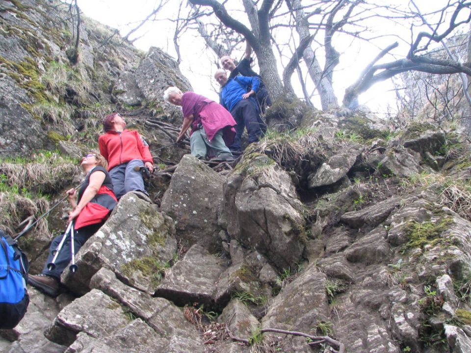 20100427 Boč in Donačka gora - foto povečava