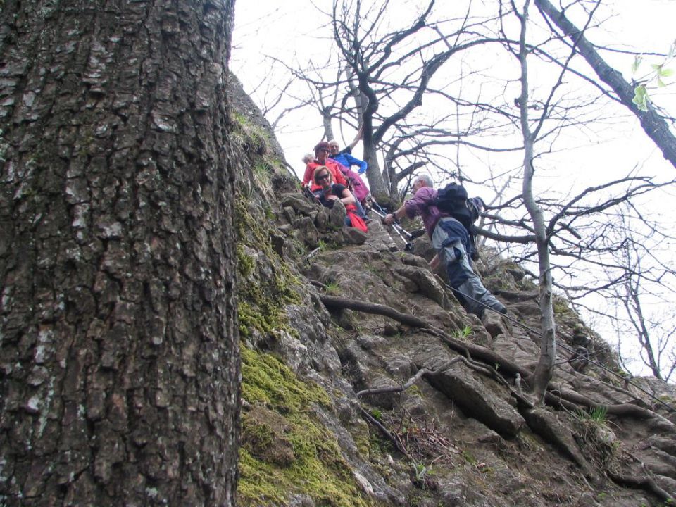 20100427 Boč in Donačka gora - foto povečava