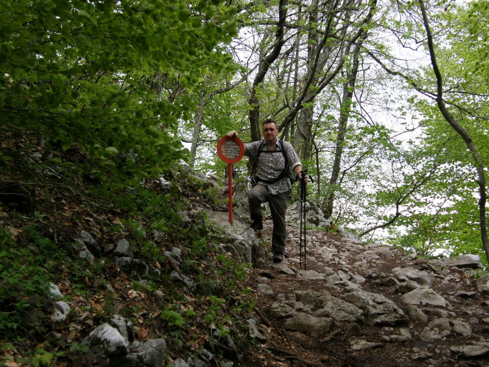 20100509 Golica Dobrča Lubnik - foto povečava