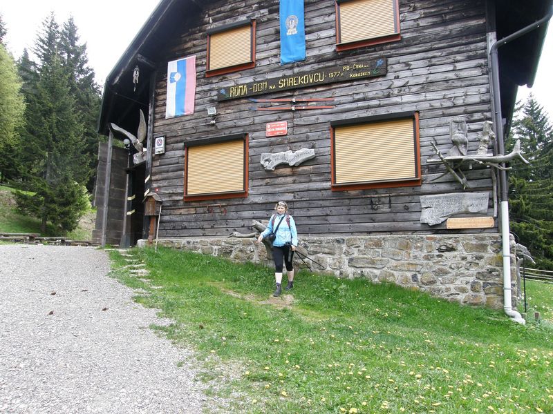 20100528 Olševa smrekovec sleme - foto povečava