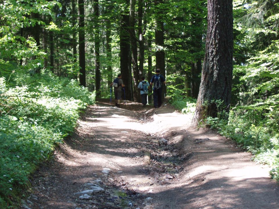 20100606 Poštarski UG ledine Križan Poštarski - foto povečava