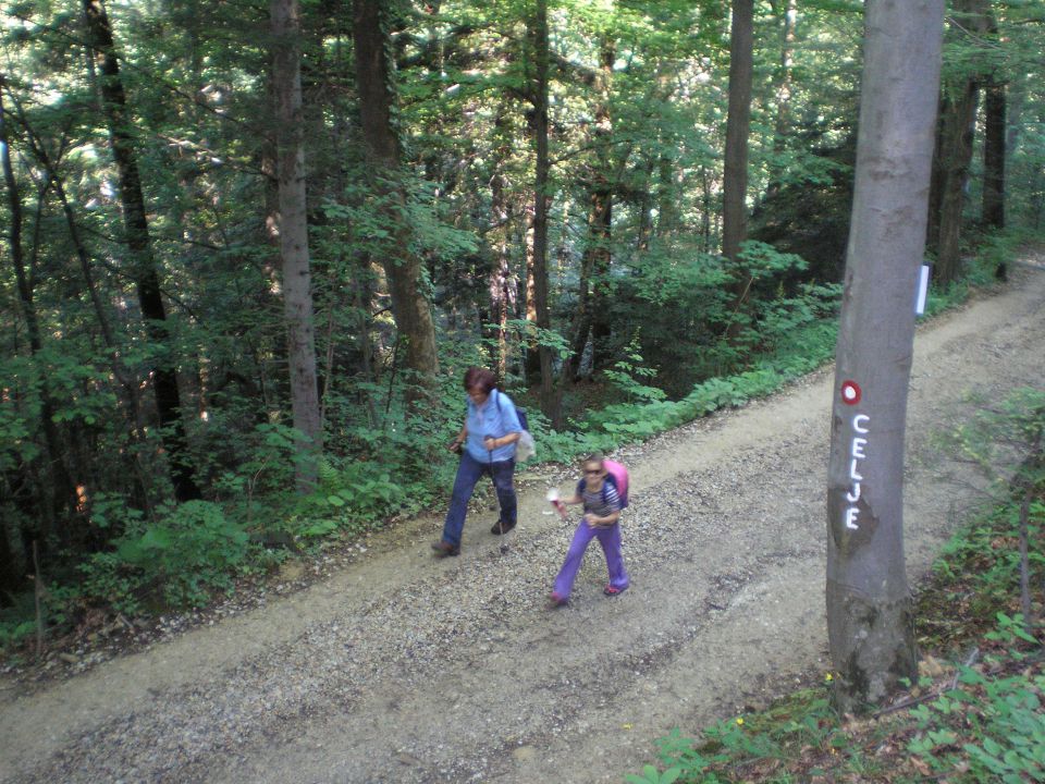 20100605 Dan SLO planincev - foto povečava