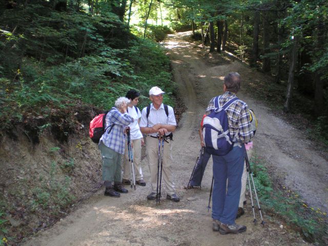 20100605 Dan SLO planincev - foto