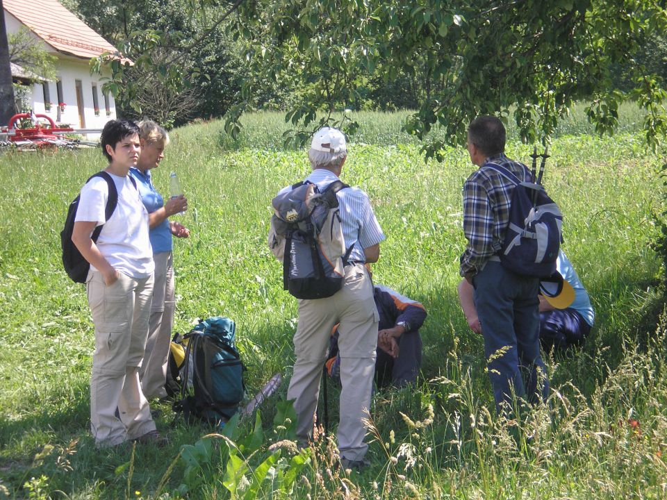 20100605 Dan SLO planincev - foto povečava